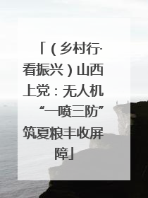 （乡村行·看振兴）山西上党：无人机“一喷三防”筑夏粮丰收屏障