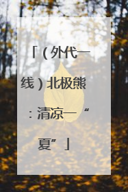 （外代一线）北极熊：清凉一“夏”