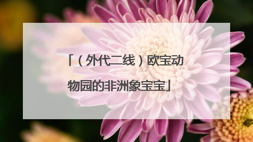 （外代二线）欧宝动物园的非洲象宝宝
