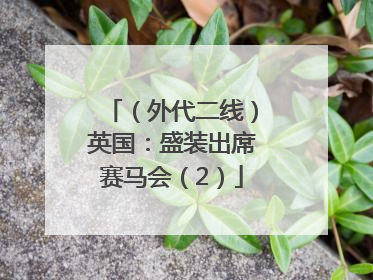 （外代二线）英国：盛装出席赛马会（2）