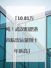 10.81万吨！武汉阳逻港直航货运量创十年新高