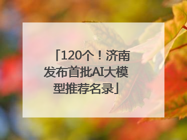 120个！济南发布首批AI大模型推荐名录