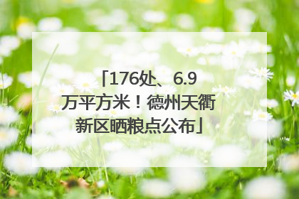 176处、6.9万平方米！德州天衢新区晒粮点公布
