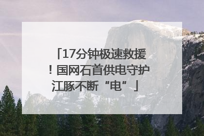 17分钟极速救援！国网石首供电守护江豚不断“电”