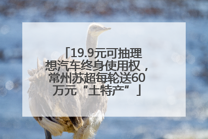 19.9元可抽理想汽车终身使用权，常州苏超每轮送60万元“土特产”