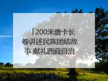 200米唐卡长卷讲述民族团结故事 献礼西藏自治区成立60周年