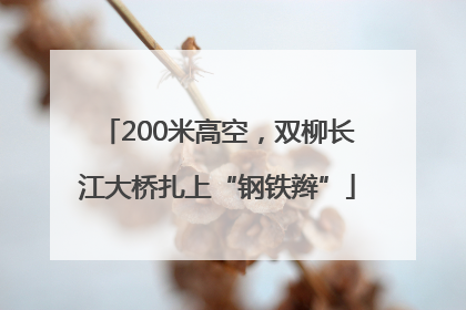 200米高空，双柳长江大桥扎上“钢铁辫”