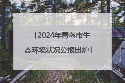 2024年青岛市生态环境状况公报出炉