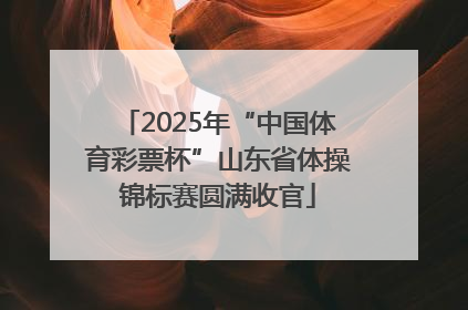 2025年“中国体育彩票杯”山东省体操锦标赛圆满收官