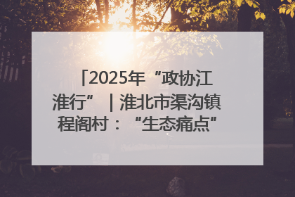 2025年“政协江淮行”｜淮北市渠沟镇程阁村：“生态痛点”变“生态景观”