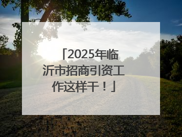 2025年临沂市招商引资工作这样干！