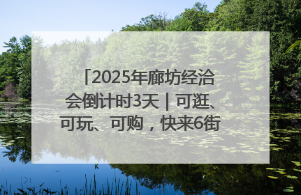2025年廊坊经洽会倒计时3天｜可逛、可玩、可购，快来6街16巷逛市集