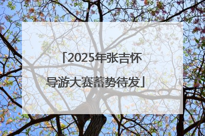 2025年张吉怀导游大赛蓄势待发