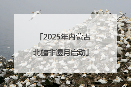 2025年内蒙古北疆非遗月启动