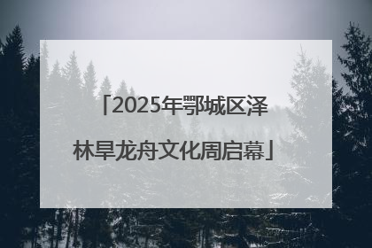 2025年鄂城区泽林旱龙舟文化周启幕