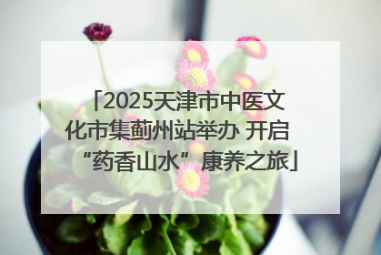 2025天津市中医文化市集蓟州站举办 开启“药香山水”康养之旅