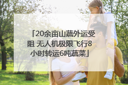 20余亩山蔬外运受阻 无人机极限飞行8小时转运6吨蔬菜