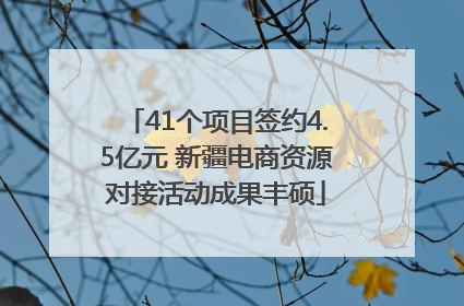 41个项目签约4.5亿元 新疆电商资源对接活动成果丰硕