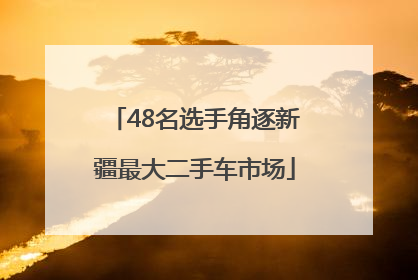 48名选手角逐新疆最大二手车市场