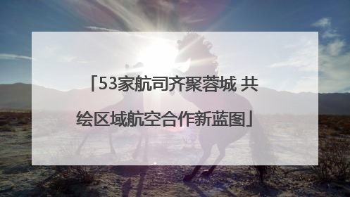 53家航司齐聚蓉城 共绘区域航空合作新蓝图