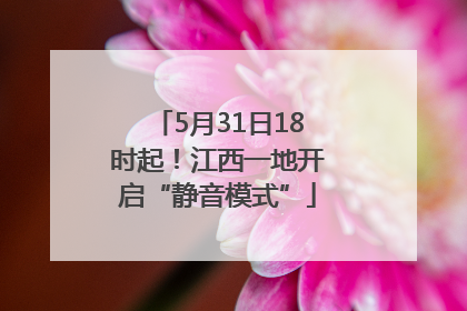 5月31日18时起！江西一地开启“静音模式”
