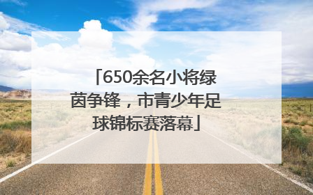 650余名小将绿茵争锋，市青少年足球锦标赛落幕