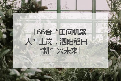 66台“田间机器人”上岗，泗阳稻田“耕”兴未来