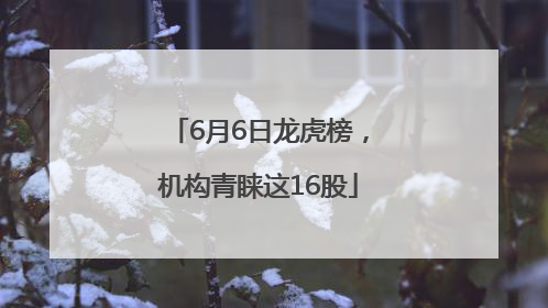 6月6日龙虎榜，机构青睐这16股