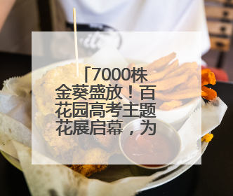 7000株金葵盛放！百花园高考主题花展启幕，为学子点亮“魁首之路”