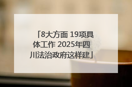 8大方面 19项具体工作 2025年四川法治政府这样建