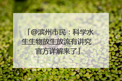 @滨州市民：科学水生生物放生放流有讲究 官方详解来了