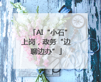 AI“小石”上岗，政务“边聊边办”