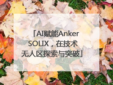 AI赋能Anker SOLIX，在技术无人区探索与突破