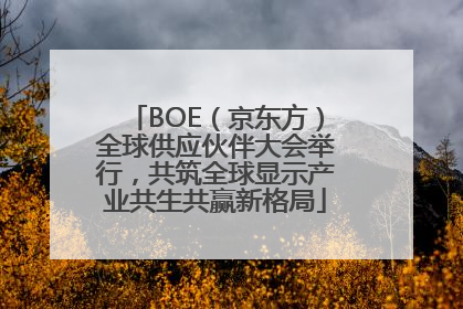 BOE（京东方）全球供应伙伴大会举行，共筑全球显示产业共生共赢新格局