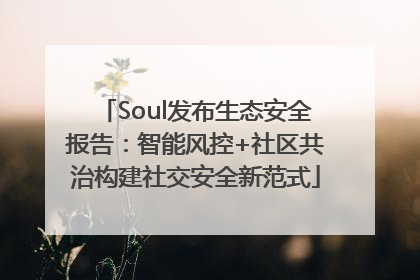 Soul发布生态安全报告：智能风控+社区共治构建社交安全新范式
