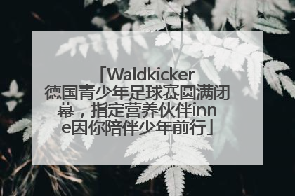 Waldkicker德国青少年足球赛圆满闭幕，指定营养伙伴inne因你陪伴少年前行