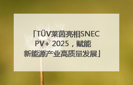 TÜV莱茵亮相SNEC PV+ 2025，赋能新能源产业高质量发展