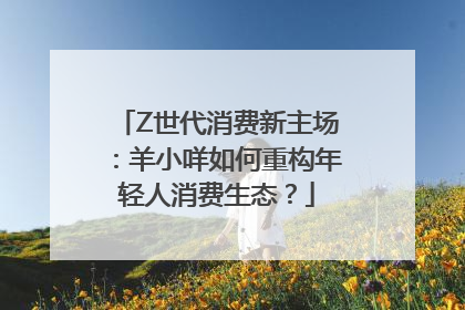 Z世代消费新主场：羊小咩如何重构年轻人消费生态？